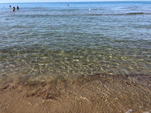 Spiaggia acqua bassa e sabbiosa: Paestum 