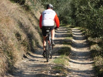 Prezzi bassi - percorsi in bici in Umbria 