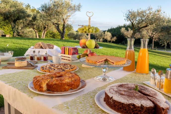 Offerta Agriturismo Umbria Ristorante Biologico Vegetariano 