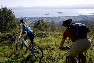 Mountain Bike per gli amanti della natura 