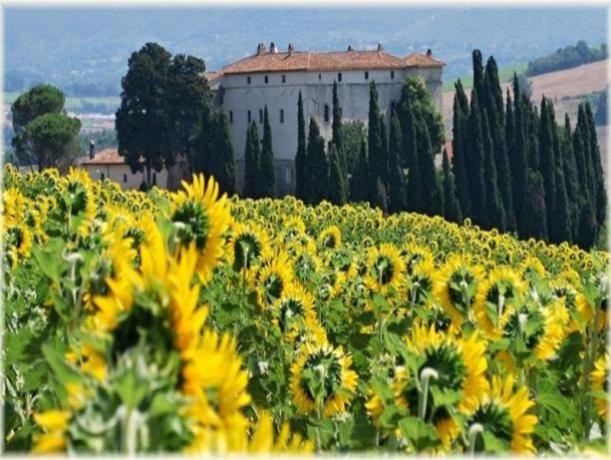 Vista sulla campagna umbra dal Castello Casigliano 