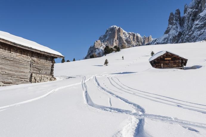 Hotel vicino alle piste da Sci Castrozza 