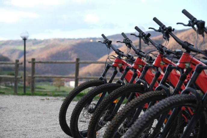 Noleggio bici attività outdoor Cascia Umbria  