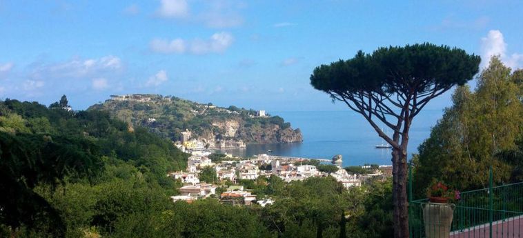 Hotel posizione panoramica Ischia 