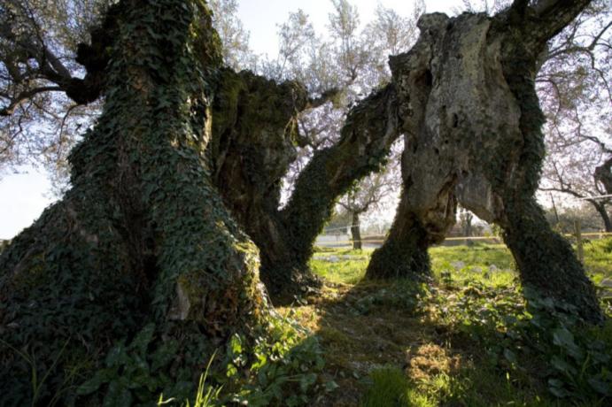 Autunno in Umbria Tre piccoli borghi, Giano dell'Umbria ...